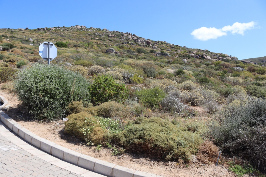 0 Bedroom Property for Sale in St Helena Views Western Cape